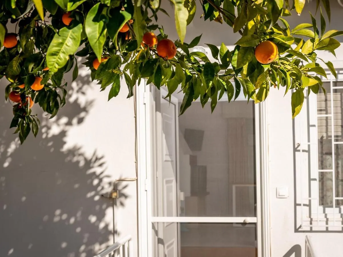 Leisure Moments Maisonette By Travelpro Services Possidi Halkidiki 0*,